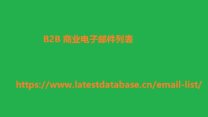 B2B 商业电子邮件列表 5