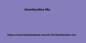 themlsonline-Mn