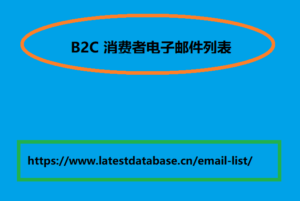 B2C 消费者电子邮件列表 