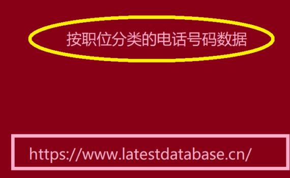 按职位分类的电话号码数据